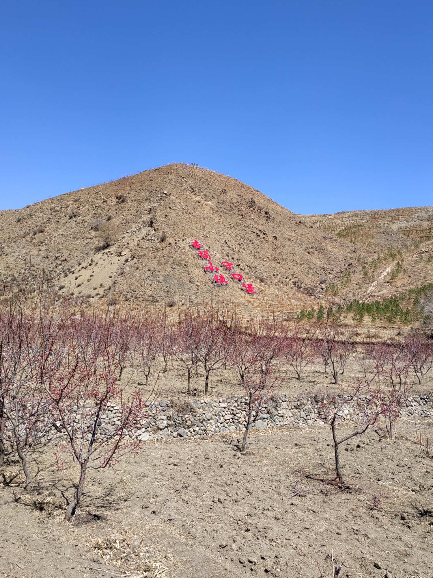 骑行守口堡赏杏花,阳高旅游攻略 - 马蜂窝