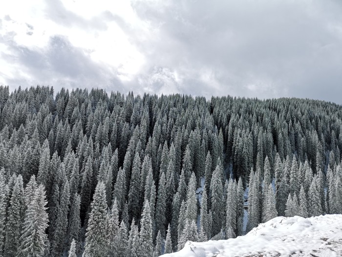 五一去伊犁,天气冷吗