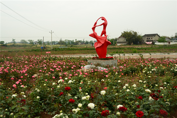 赏花胜地 重庆潼南崇龛玫瑰园第五届玫瑰节电子票/崇龛玫瑰园第五届