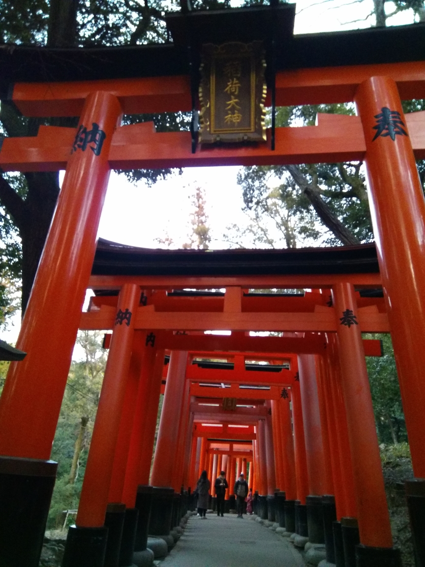 2.16日 金阁寺 建勋神社 藤森神社伏见稻荷大社