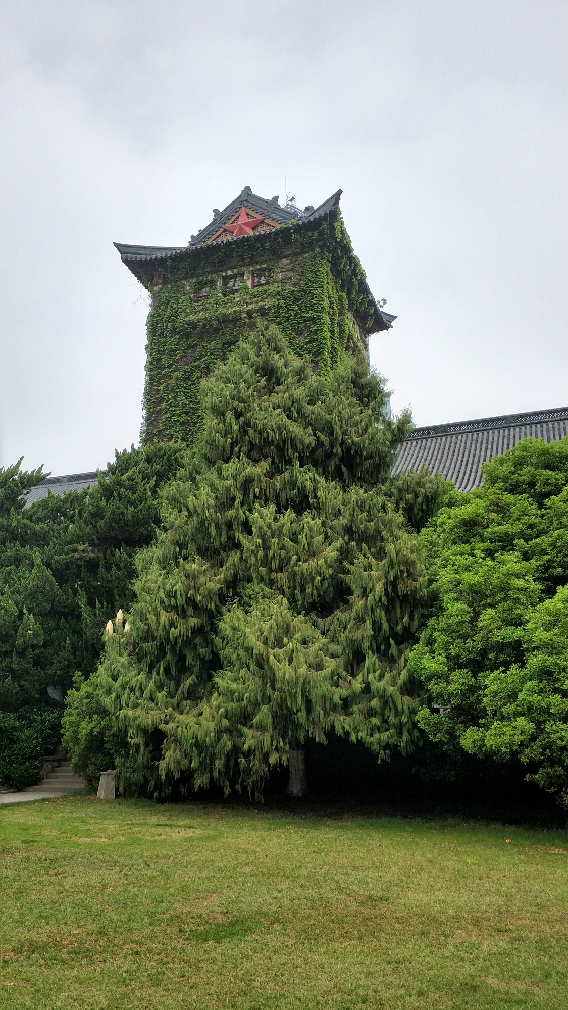 南京大学游学记(铅笔)(图钉)(时间)(信箱)(100分)