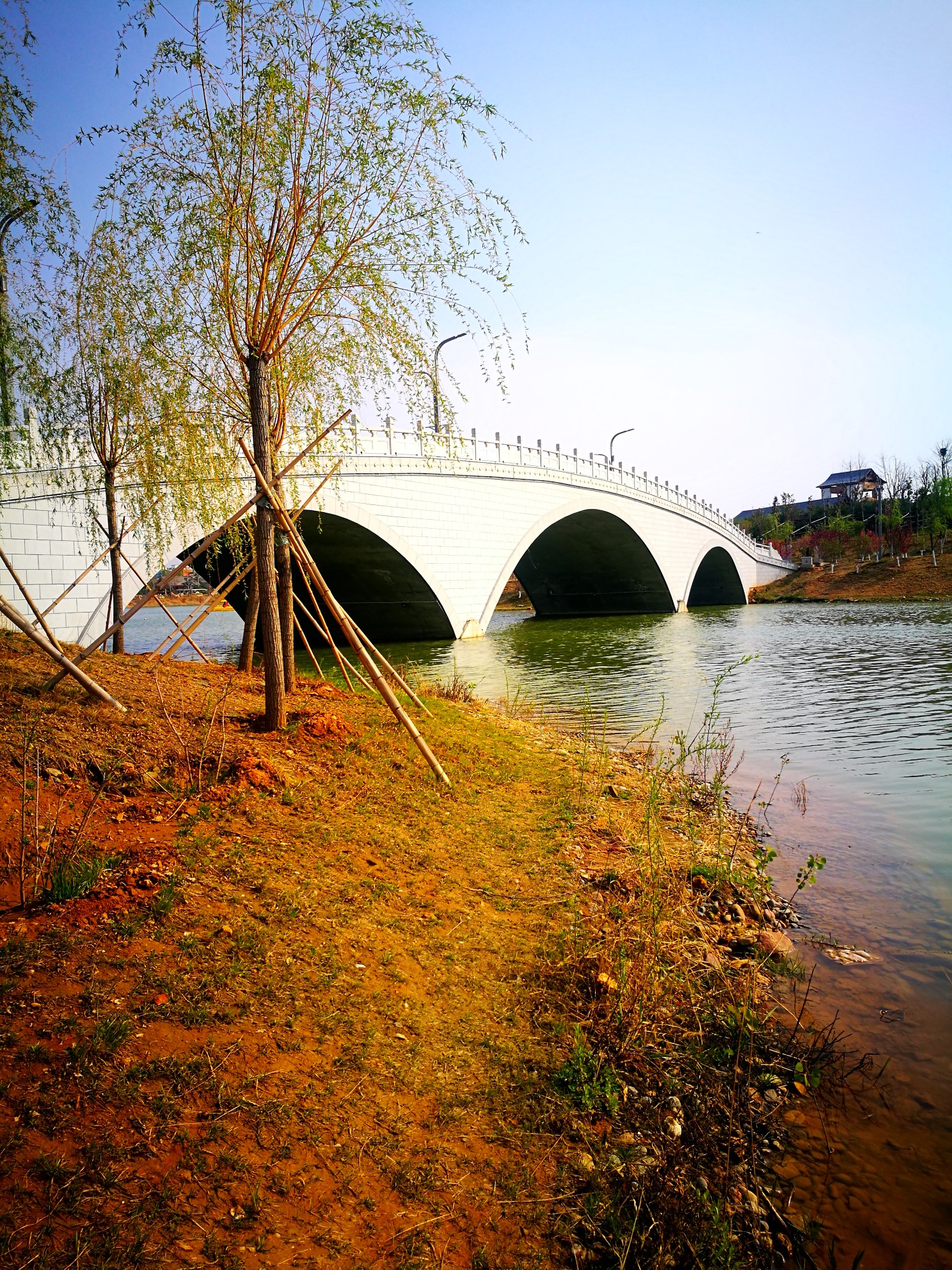 龙泉湖湿地公园