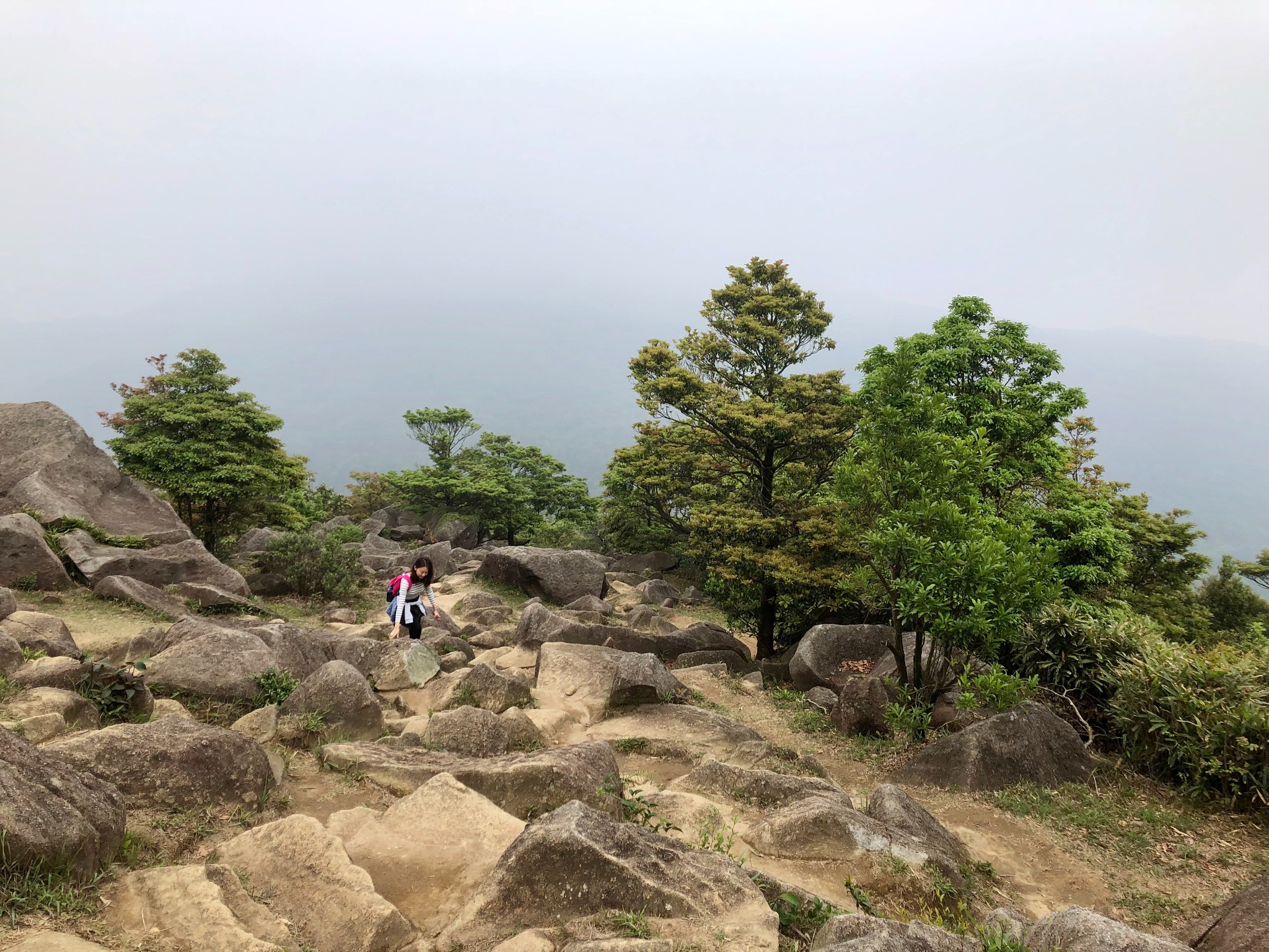 发现不一样的香港# 西环网红拍照点一日游 大帽山行山日记