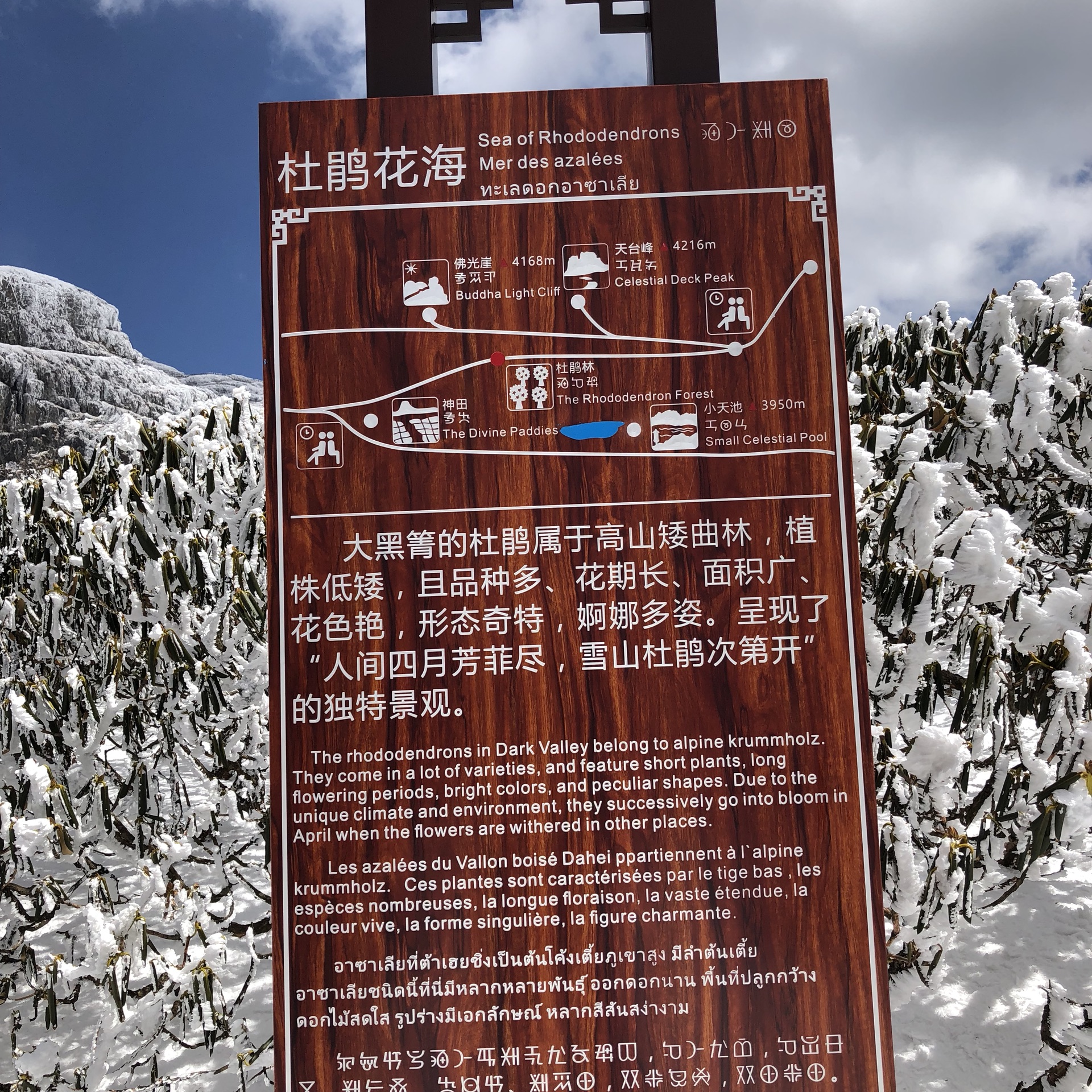 云南省寻甸县轿子雪山风景区游记,寻甸旅游攻略 - 马