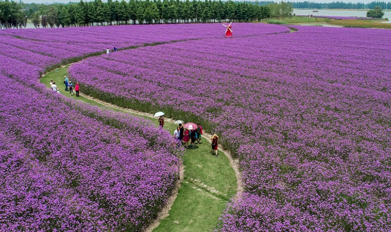 固城湖水慢城景区电子票/固城湖水慢城景区欢迎您