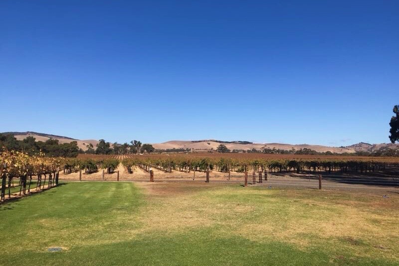 南澳初体验_游记