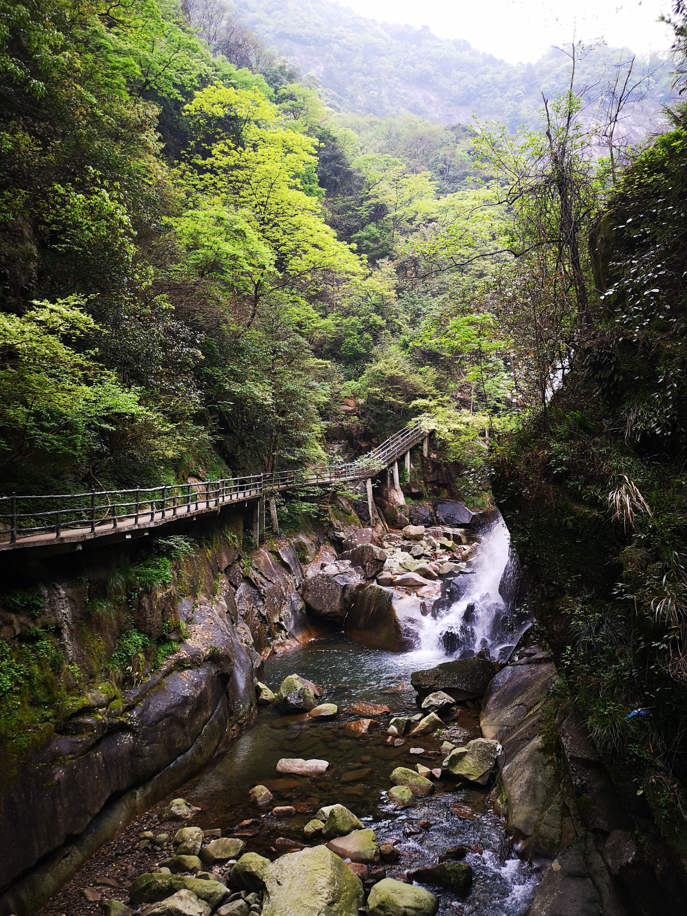 大鄣山卧龙谷        