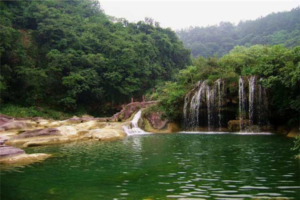 绿林山美人谷景区门票