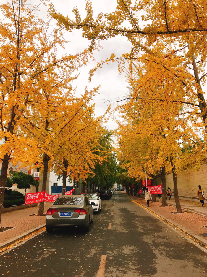 大连什么时候去最好