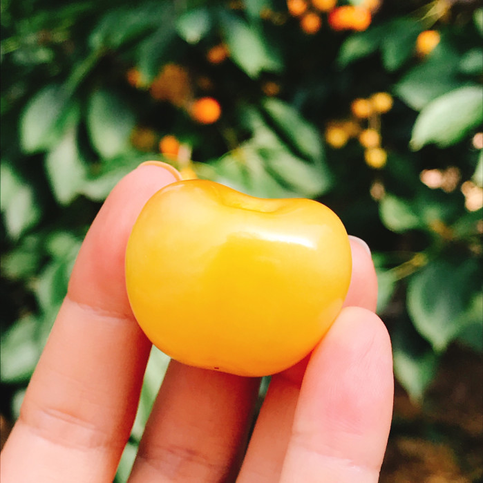 大连什么时候去最好