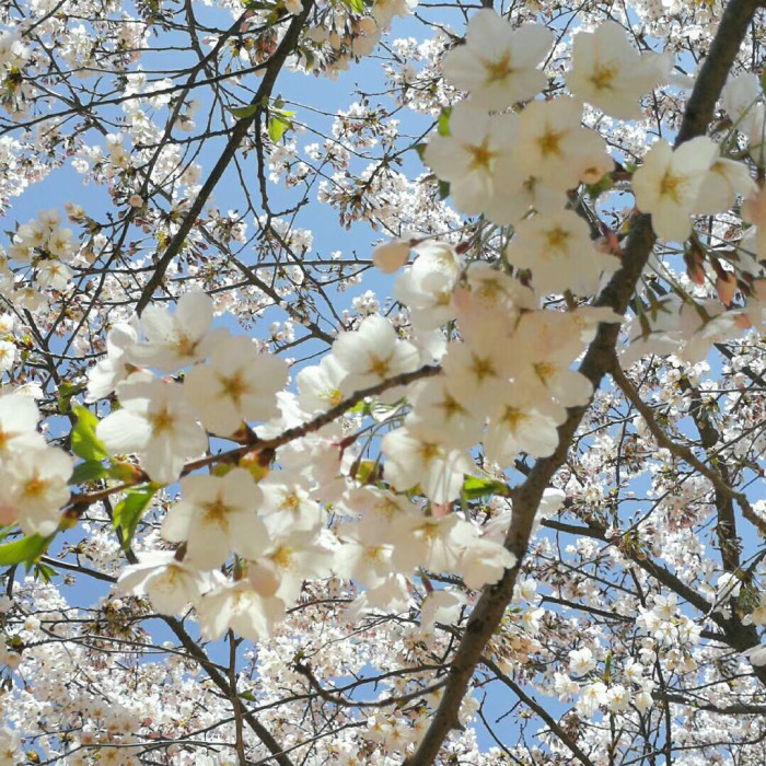 大连什么时候去最好