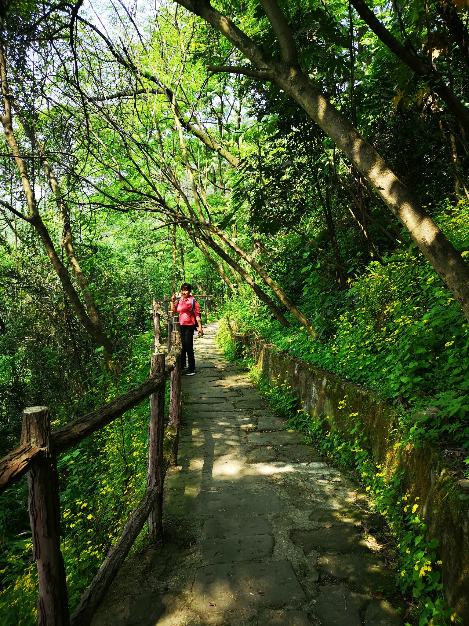 又见南山——清水溪步道