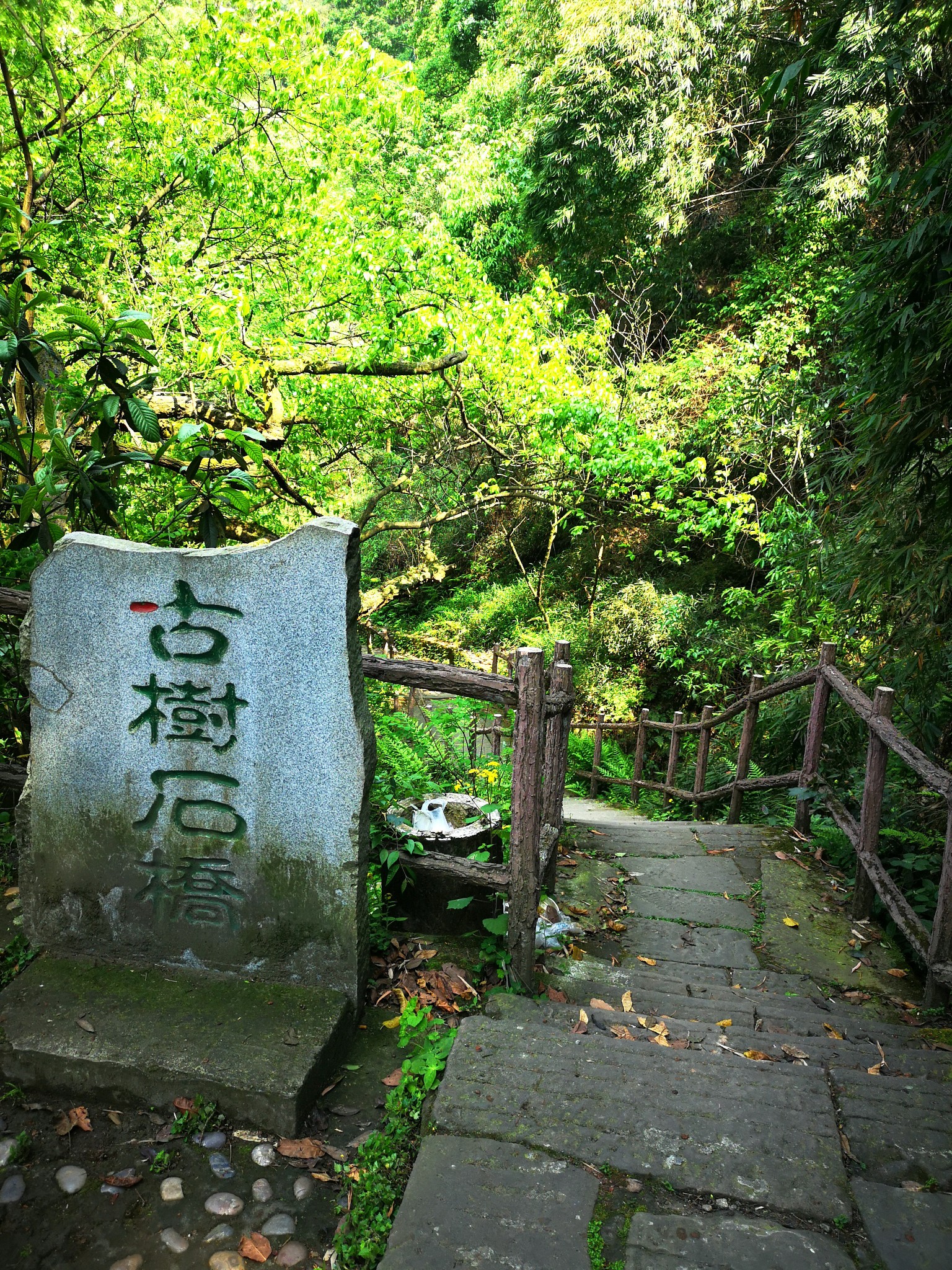 又见南山——清水溪步道