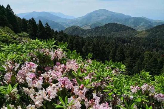 从上海出发到台州天台山,到底是乘高铁到台州