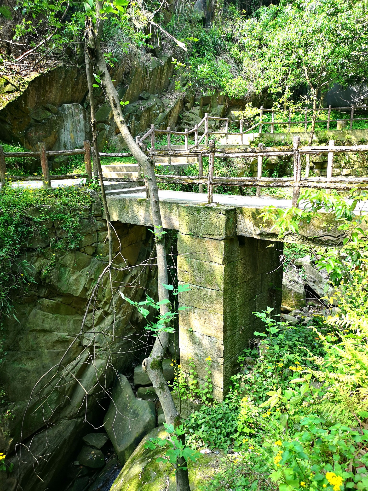 又见南山——清水溪步道