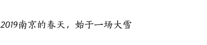 2019南京的春天,始于一场大雪 2019南京的春天,始于一场大雪
