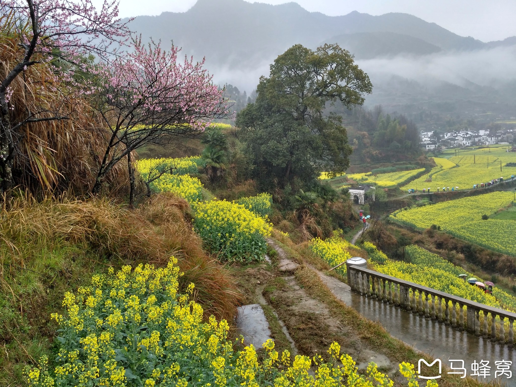 【婺源】陌上花开缓缓归,水村山居又逢春