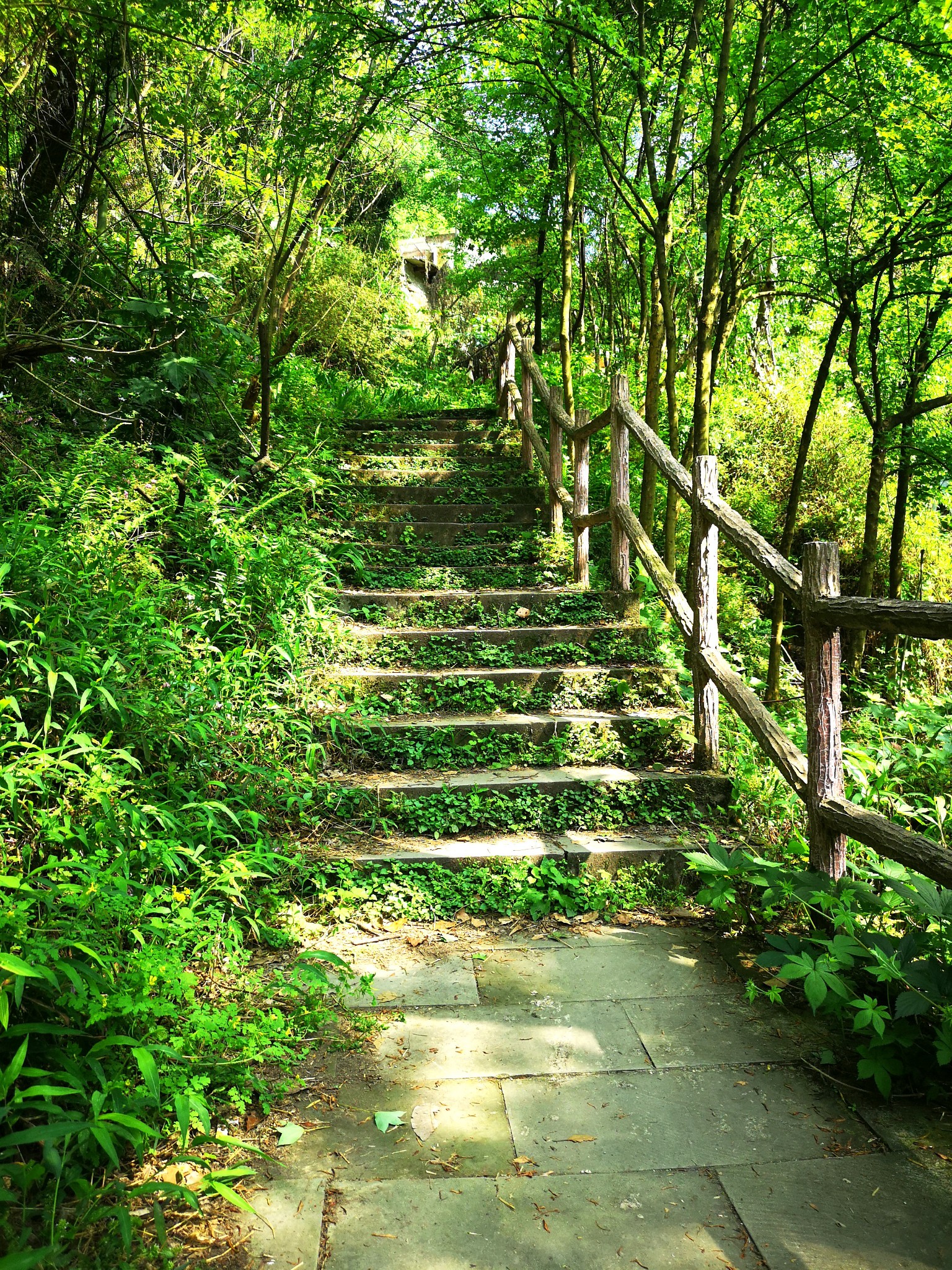 又见南山——清水溪步道