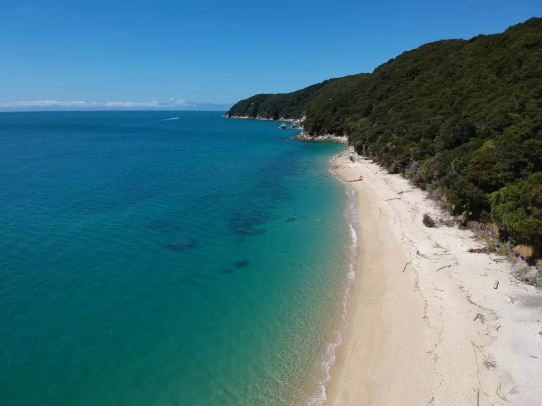 新西兰竟然也有"黄金海岸"?解锁南岛北小众度假胜地