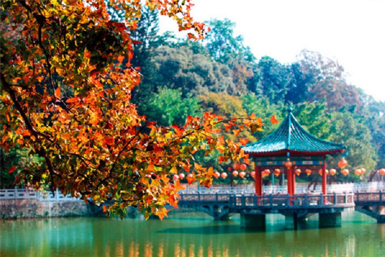 广东罗浮山风景名胜区门票/惠州罗浮山(有百粤群山之祖/蓬莱仙境之称)