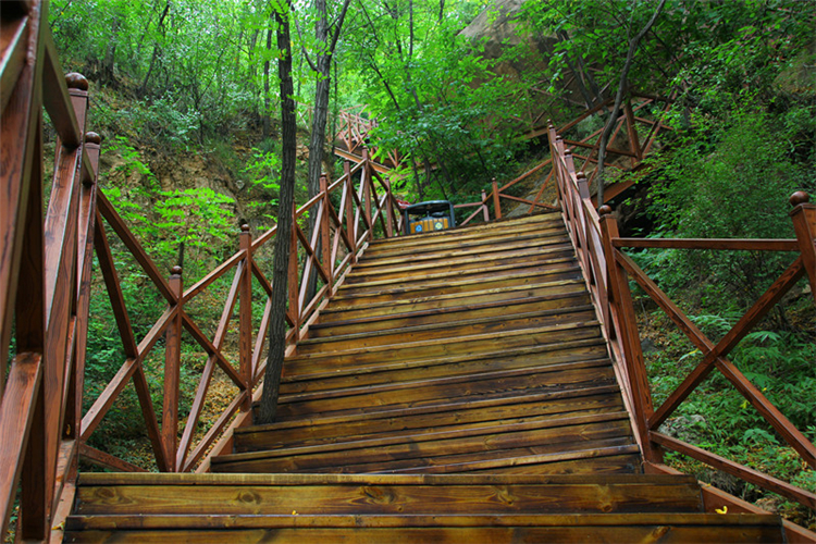 石家庄黄金寨原生态旅游区 山林和湖泊中栖息着雉鸡,斑鸠,山鹰,山雀