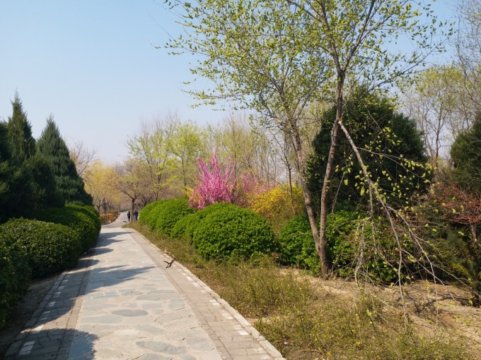 北坞公园游玩攻略,北坞公园游玩攻略游记