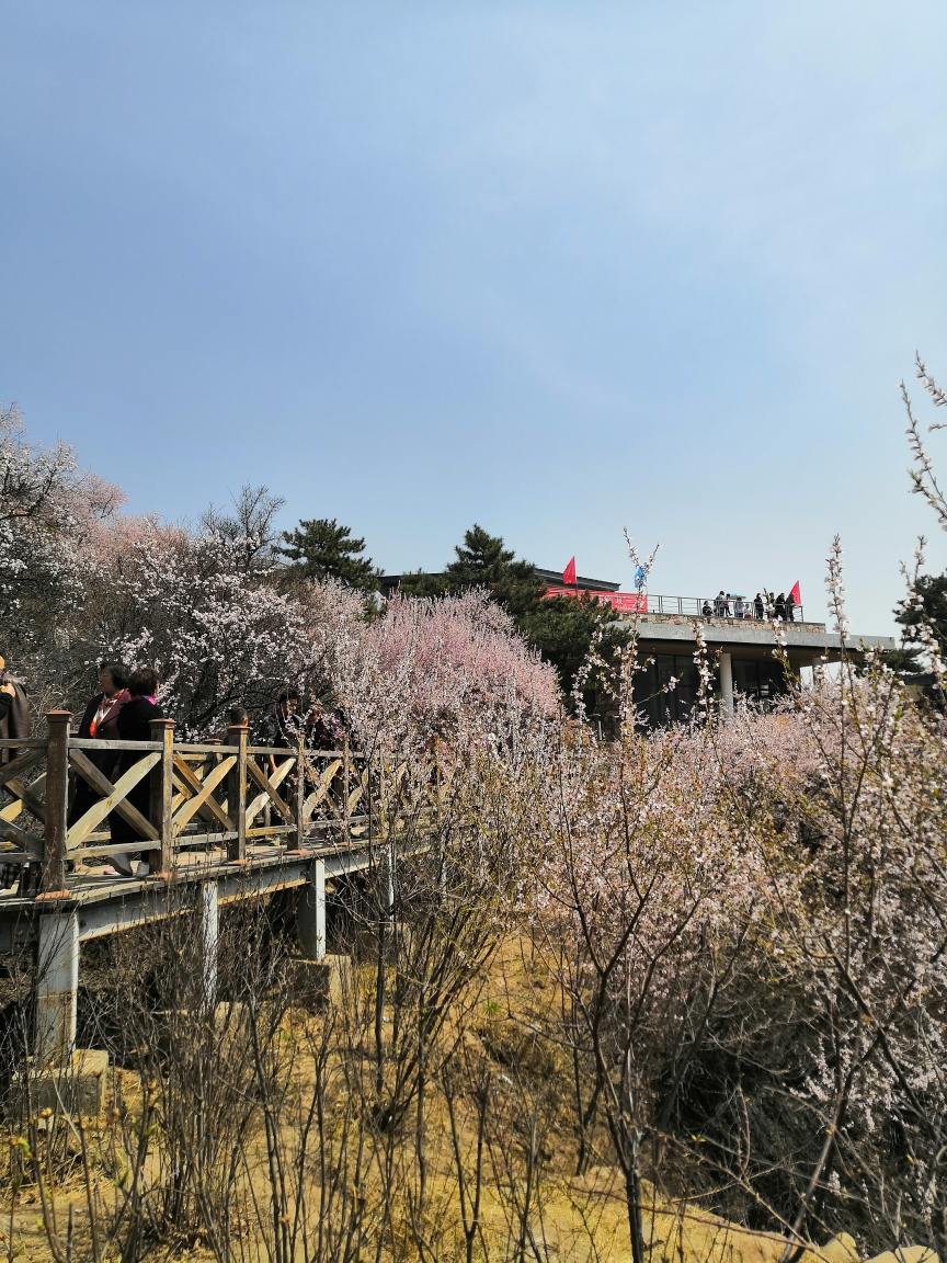 桃花沟看桃花,太原自助游攻略 - 马蜂窝