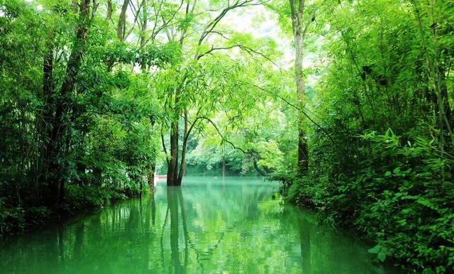           水上森林是荔波小七孔