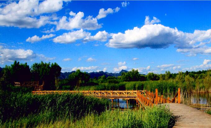 北京野鸭湖国家湿地公园