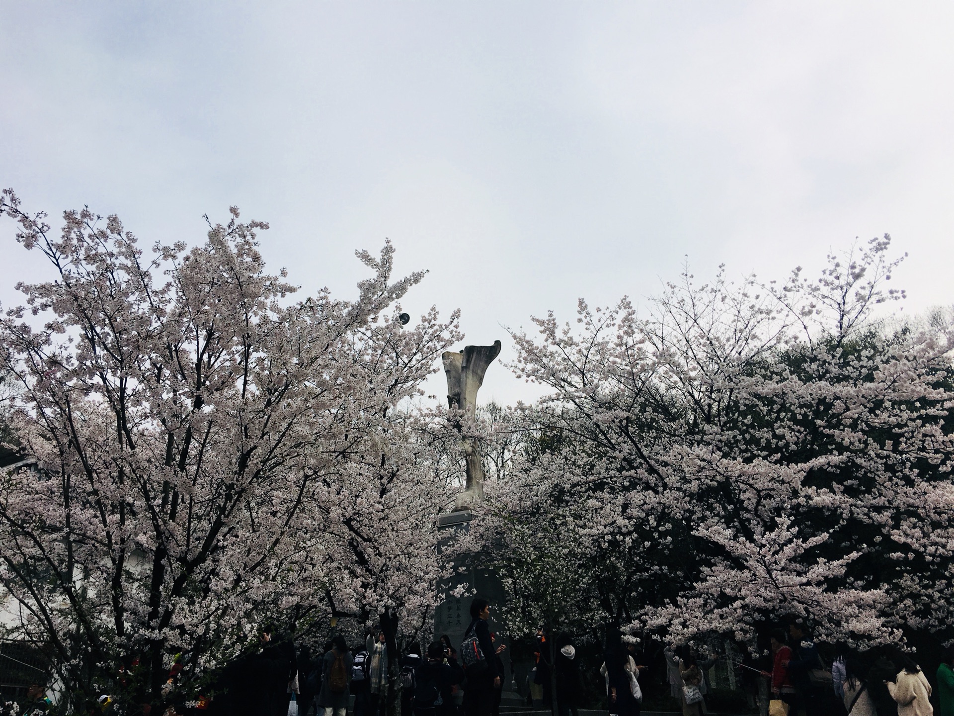 武汉大学鲲鹏广场       