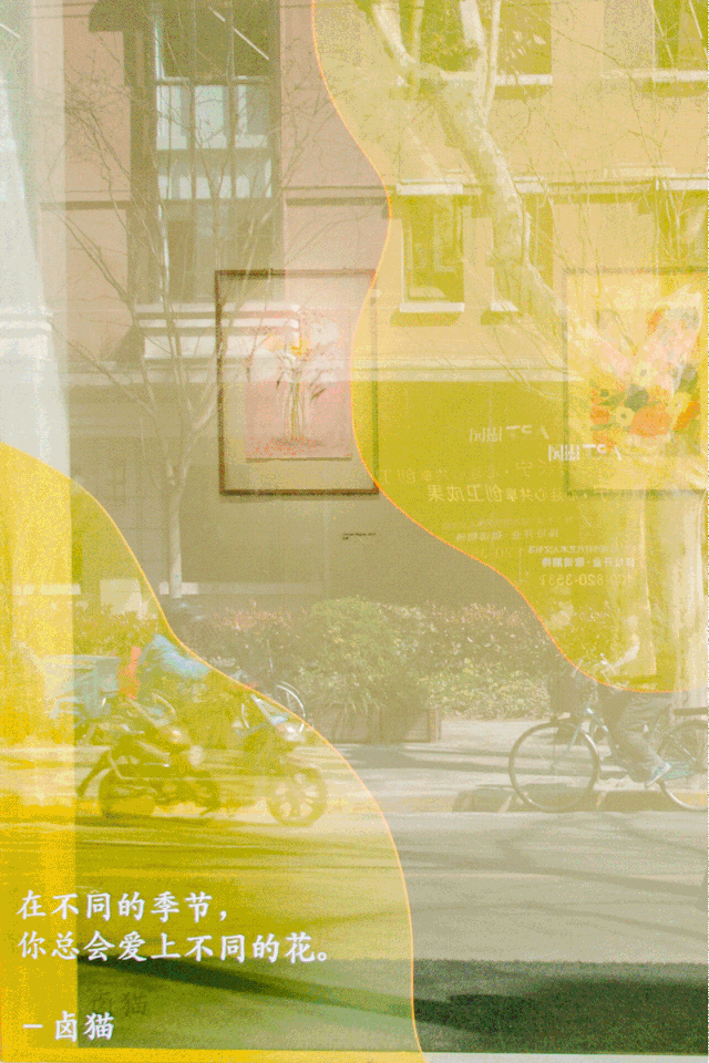 卤猫国内首个原作互动展览来啦!免费看!