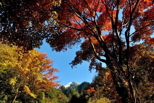 唐家河风景区电子票/唐家河风景区欢迎您(下单1小时后方可使用/未用可