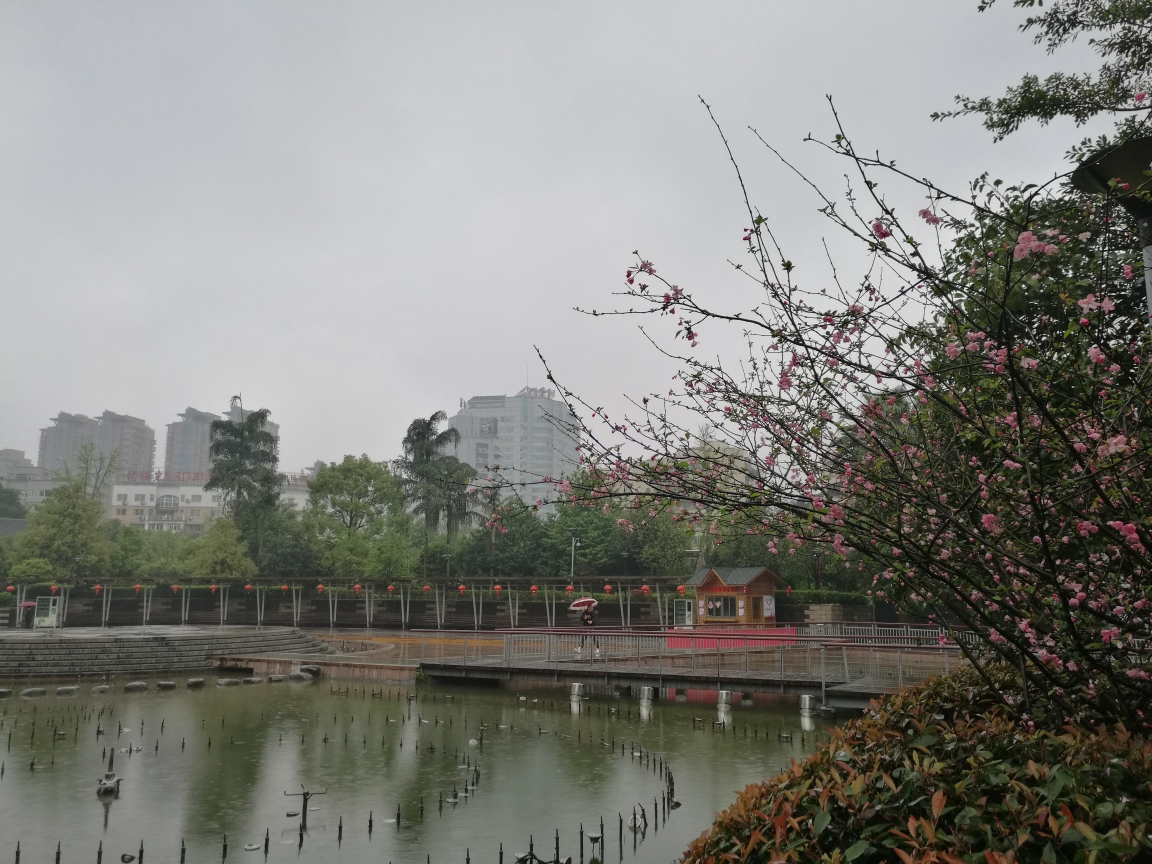 2019人行瑞安之二十三阴雨绵绵中探幽万松山公园