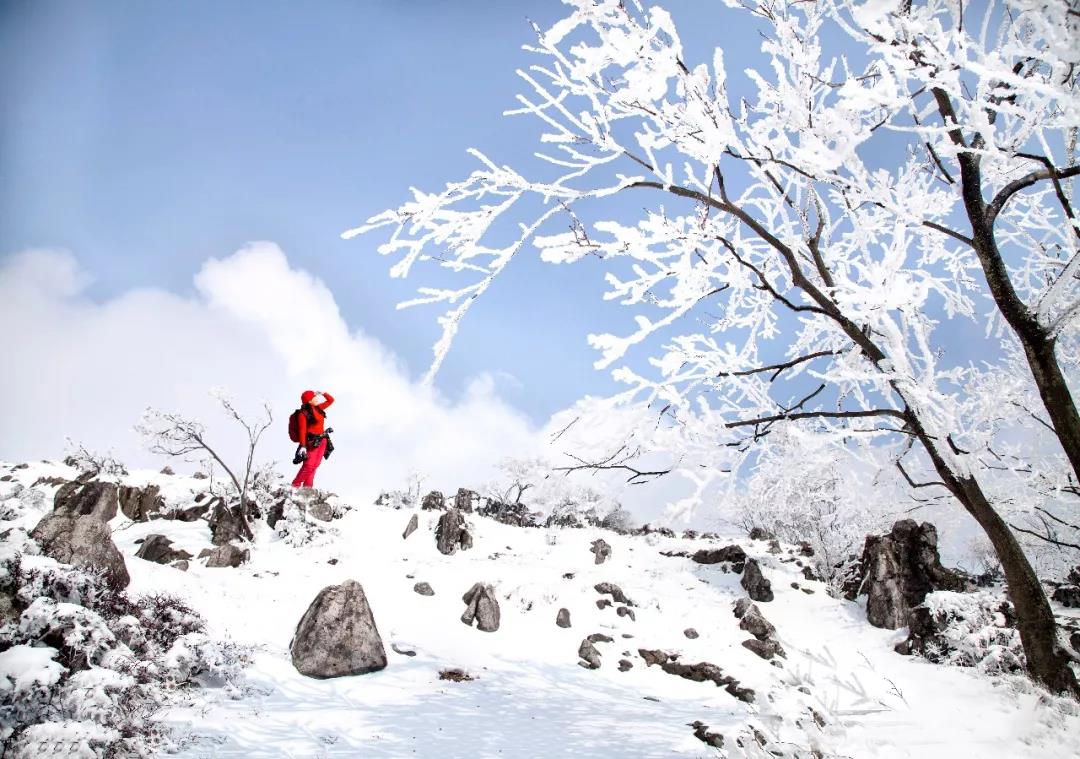 赏雪景 在百里荒,来看一场盛世雪景, 终不负你林海雪原中寻寻