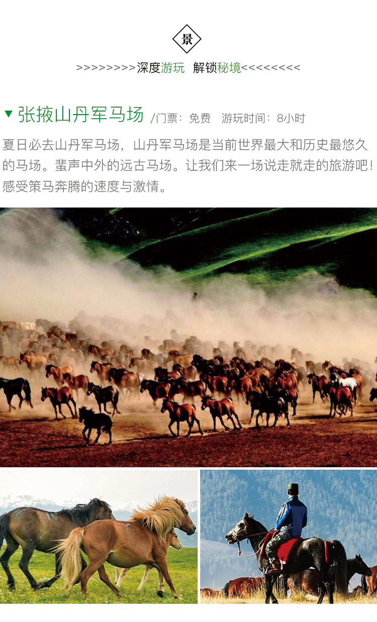 张掖山丹军马场包车一日游 皇家马场 策马扬鞭