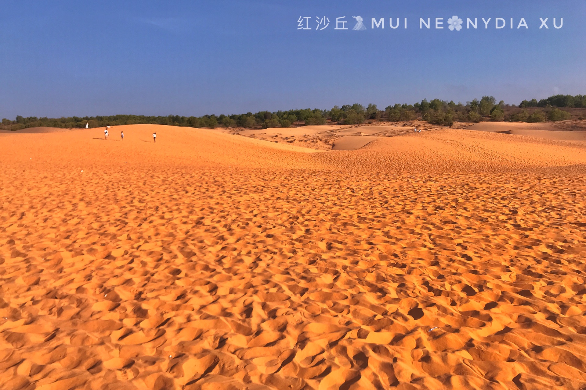 沙丘,海水,可爱的小渔村