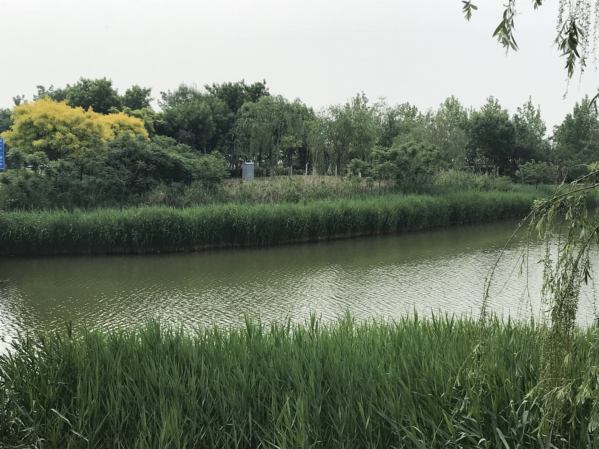 七,天津市西青郊野公园 八,天津鸭淀水库,光合谷湿地公园 十,天津水