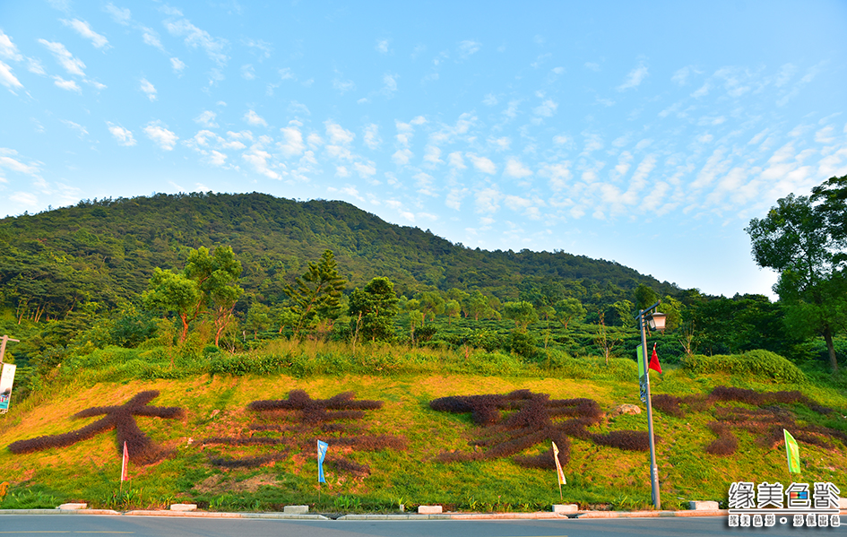 走进象窝山生态园,感受禅茶魅力,静心养生之旅