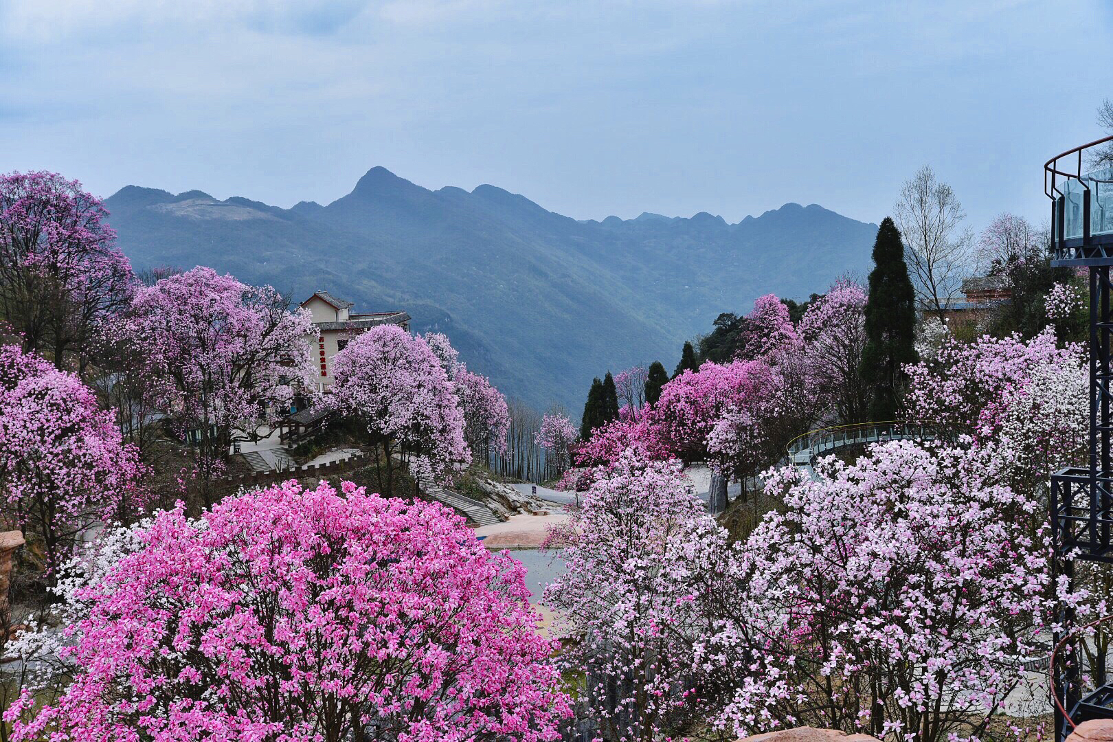 蜂评: 圣水寺 蜂评: 九皇山景区 蜂评: 李白故里 蜂评: 药王谷(绵阳