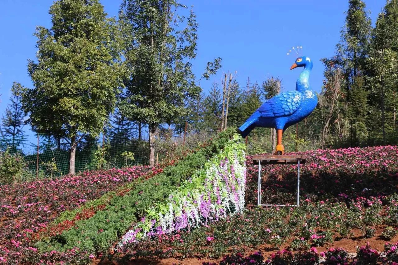 芒市孔雀谷成人大门票(景区大门票 民族表演 凤凰宫 许愿树 生态茶园)