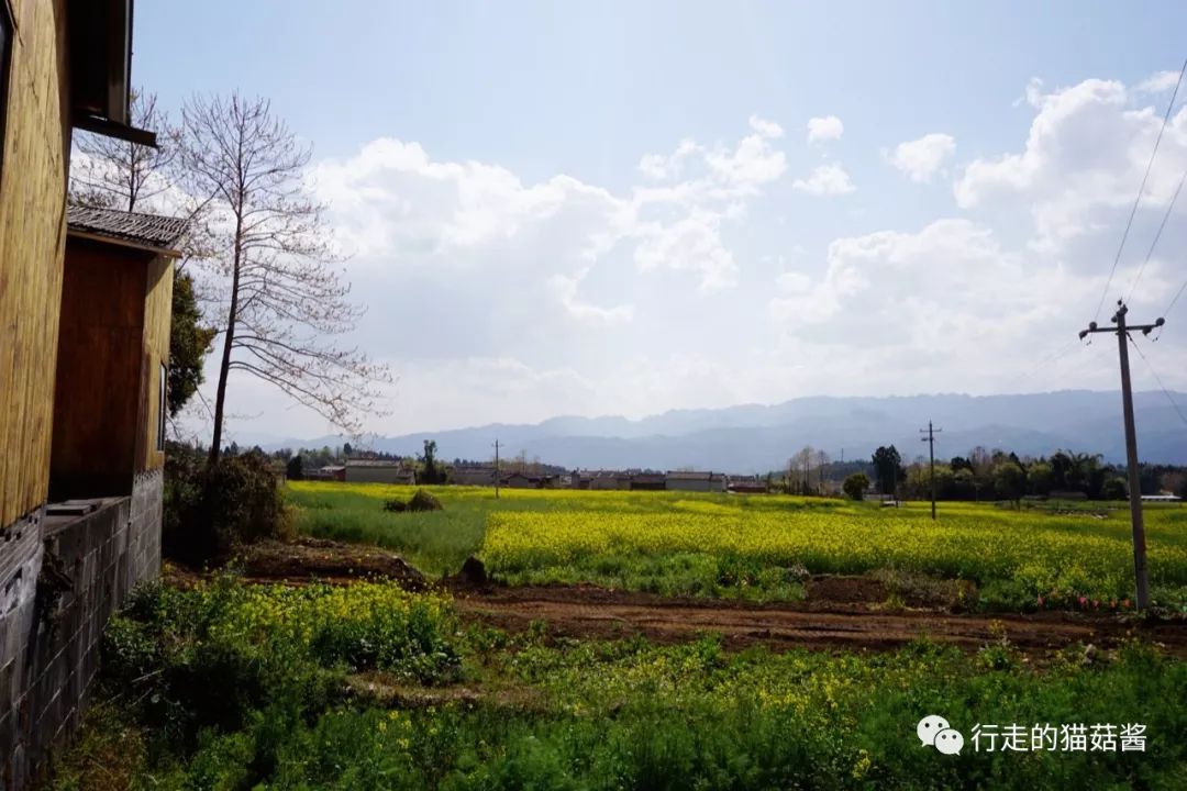 实用信息部分                      腾冲花海节位置:界头镇沙坝地