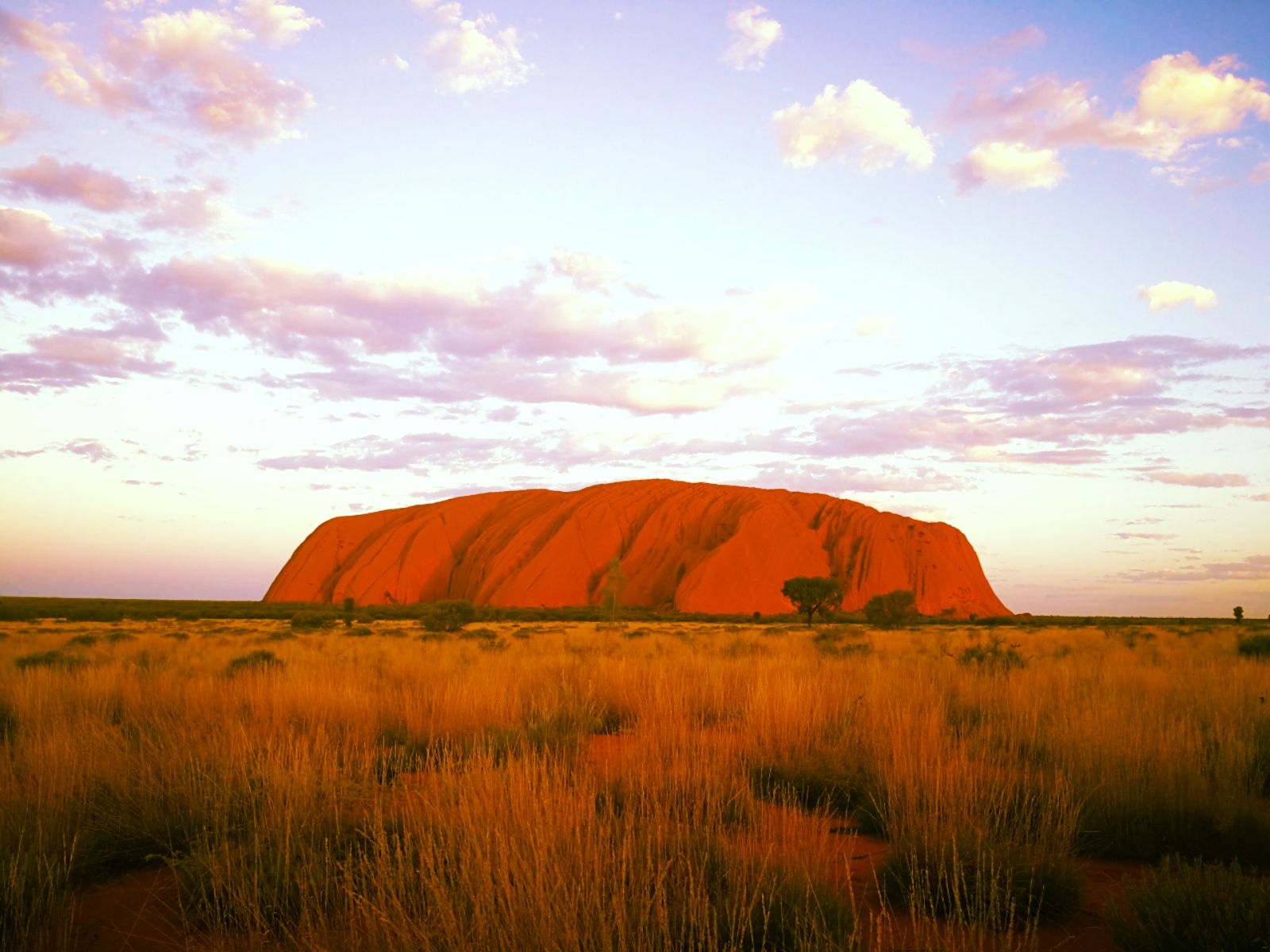 澳洲旅行日记(三十六)卡塔丘塔(kata tjuta),乌鲁鲁看