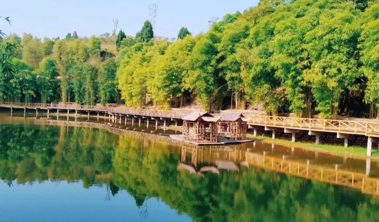 重庆铜梁龙景区门票(门票 吊桥 吊床)