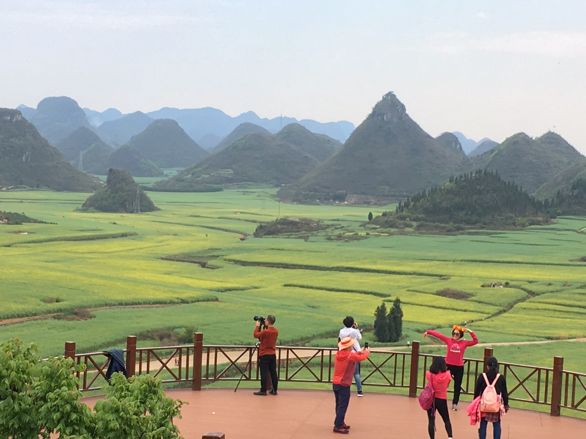 云南游记(三)罗平,云南旅游攻略 - 马蜂窝