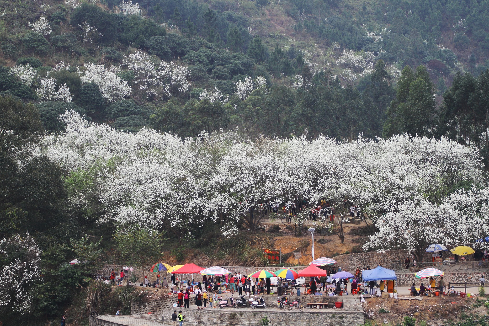 碗窑梨花谷景区