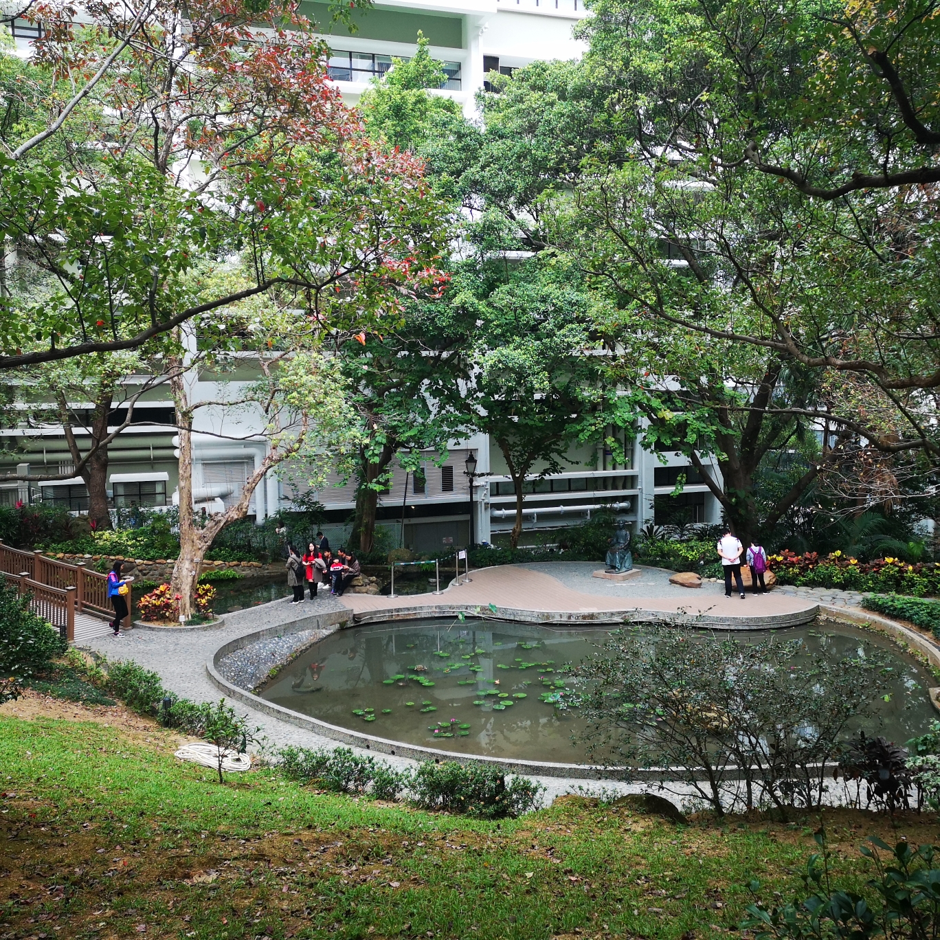 香港大学          