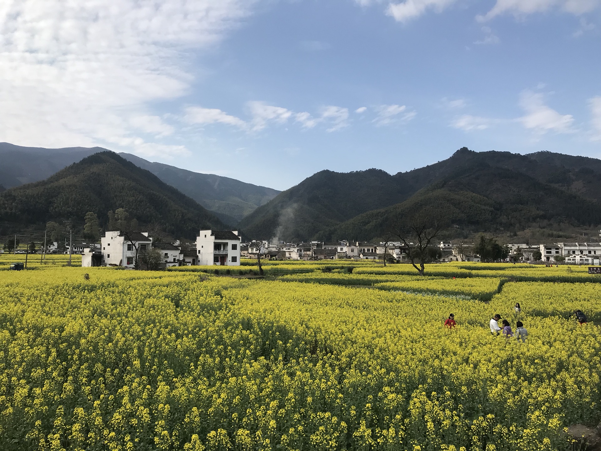 皖南之行二—卢村前的油菜花