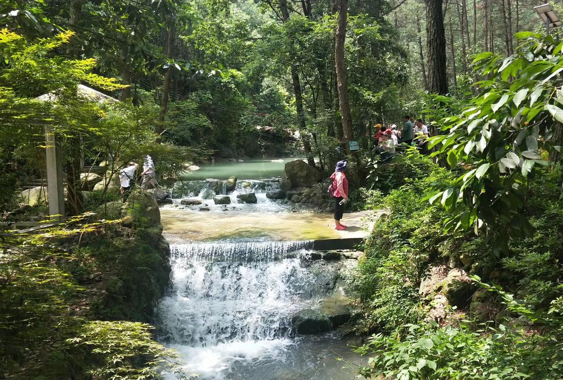 永康盘龙谷湖景豪华秘境星空木屋别墅大床房1晚 盘龙谷门票 飞鼠梦幻