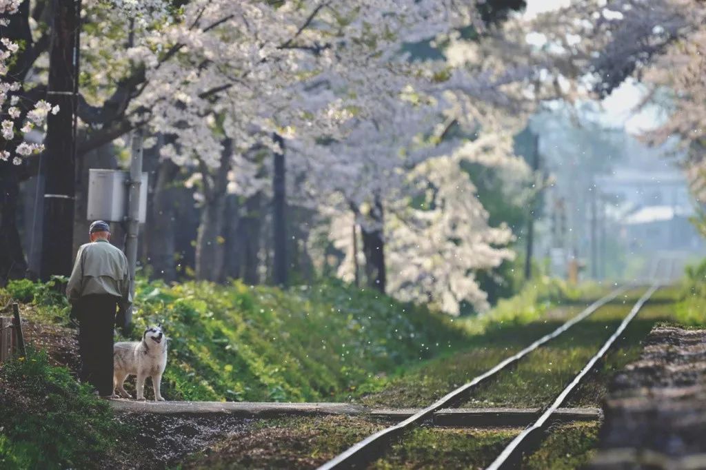 潜派旅行