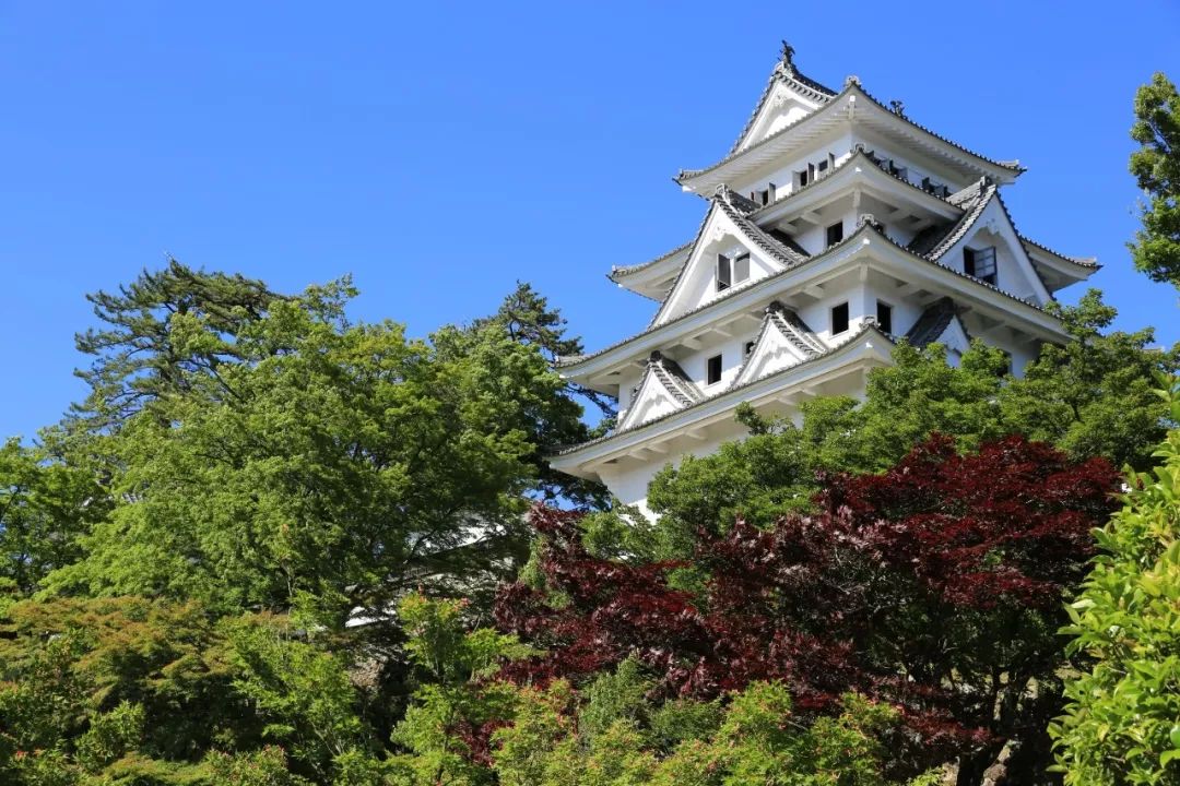 潜派旅行